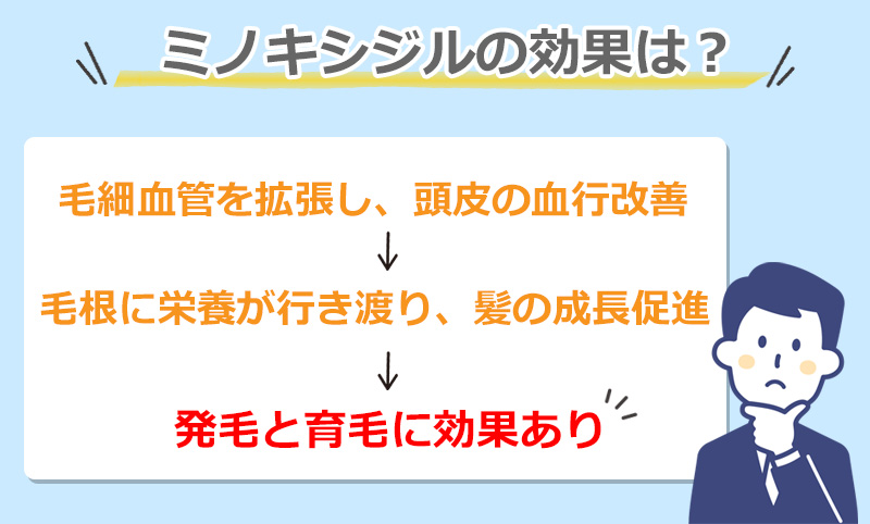 ミノキシジルの効果についてのオリジナル図解