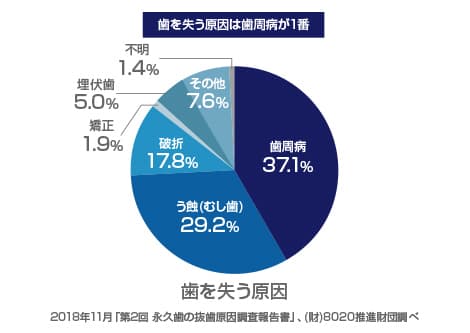 歯を失う原因の第1位は歯周病です